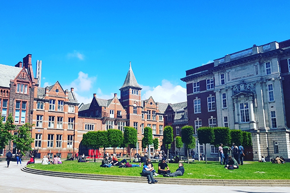 University of Liverpool Ranking 2025: Updated Global Position, Courses, Fees & Why Students Choose UoL